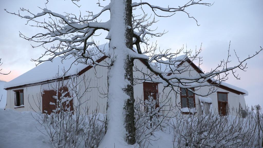 Sel Guesthouse Skálholt 外观 照片